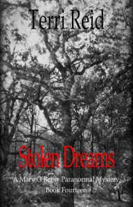 Title: Stolen Dreams - A Mary O'Reilly Paranormal Mystery - Book Fourteen, Author: Terri Reid