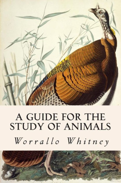 a-guide-for-the-study-of-animals-by-frederic-lucas-harold-shinn-mabl