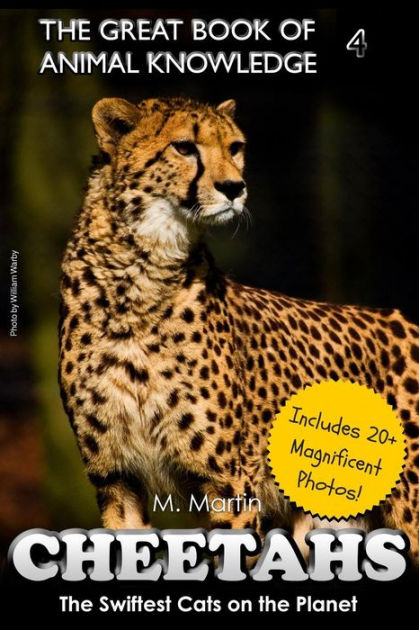 Cheetah in the Rain (Sam Jenkins Trilogy Book 2)