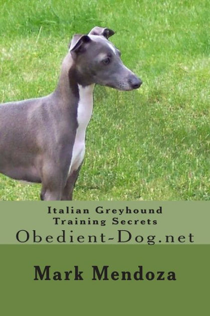 are greyhounds obedient