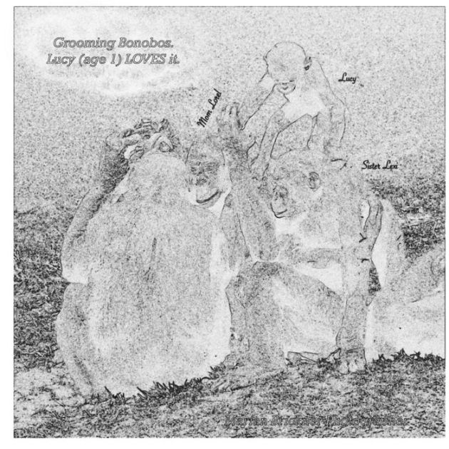 Grooming Bonobos Coloring Book Lucy (age 1) LOVES it. by Marian