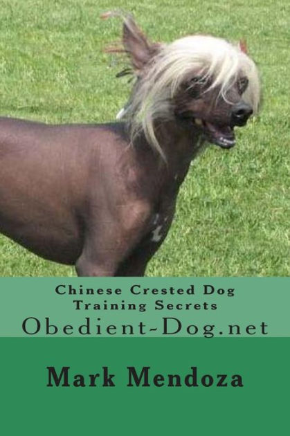 Chinese best sale crested training