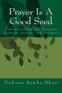 Prayer Is A Good Seed: Understanding the distance between prayers and answers