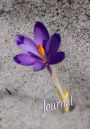 Journal