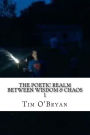 The Poetic Realm between Wisdom & Chaos,