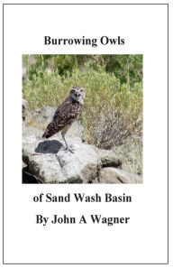 Title: Burrowing Owls of Sand Wash Basin, Author: John A Wagner
