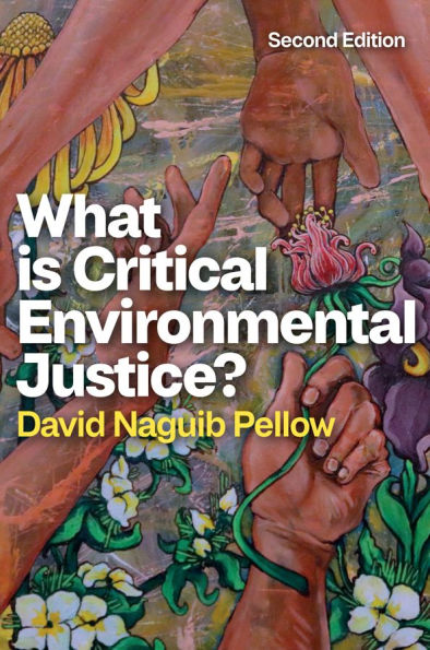 What is Critical Environmental Justice?