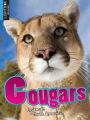 Cougars