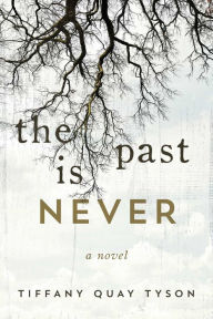 Pdf downloads for books The Past Is Never PDB by Tiffany Quay Tyson 9781510747814 English version
