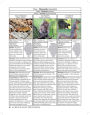 Alternative view 5 of Illinois Wildlife Encyclopedia: An Illustrated Guide to Birds, Fish, Mammals, Reptiles, and Amphibians