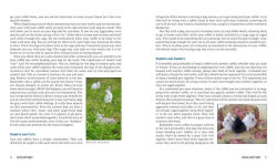 Alternative view 11 of Raising Happy Rabbits: Housing, Feeding, and Care Instructions for Your Rabbit's First Year