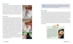 Alternative view 9 of Raising Happy Rabbits: Housing, Feeding, and Care Instructions for Your Rabbit's First Year