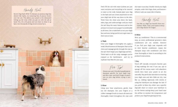 Dog Mama: 200 Tips, Trends, and How-To Secrets for Stylish Dog Owners