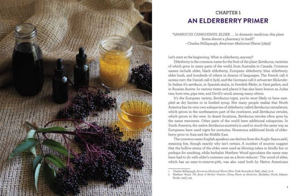 Everything Elderberry: How to Forage, Cultivate, and Cook with this Amazing Natural Remedy