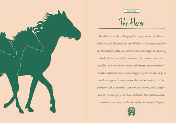The Little Book of Lore for Horse Lovers: A Round Up of Equine Facts, Myths, and History
