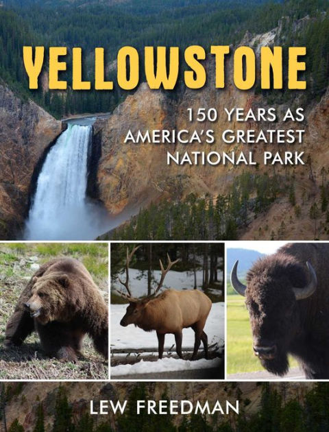 Yellowstone' Cookbook: Where to Buy – Billboard