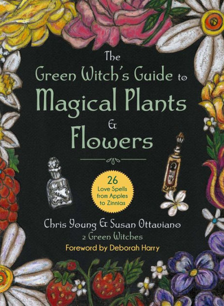 The Green Witch's Garden Journal, Book by Arin Murphy-Hiscock, Official  Publisher Page