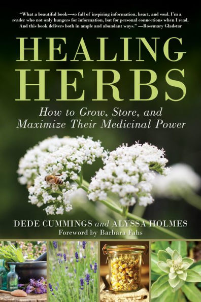 Healing Herbs: How to Grow, Store, and Maximize Their Medicinal Power