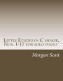 Little Etudes in C minor, Nos. 1-17 for solo piano
