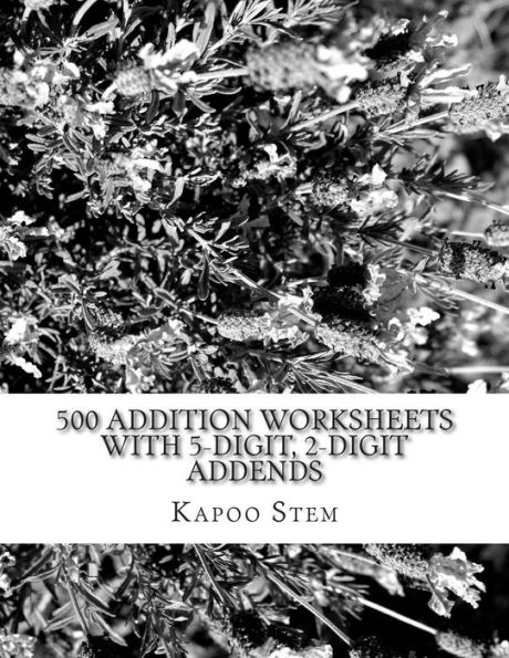 500 Addition Worksheets with 5-Digit, 2-Digit Addends: Math Practice Workbook