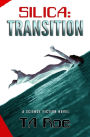 Silica: Transition