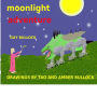 Amber's moonlight adventure