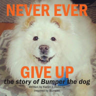 Title: Never Ever Give Up, The story of Bumper the dog., Author: Karen J. Roberts