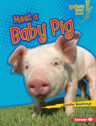 Title: Meet a Baby Pig, Author: Jennifer Boothroyd