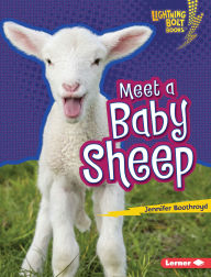 Title: Meet a Baby Sheep, Author: Jennifer Boothroyd