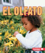 El olfato (Smelling)