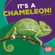 Title: It's a Chameleon!, Author: Tessa Kenan