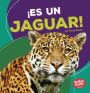 Es Un Jaguar! (It's a Jaguar!)