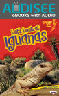 Let's Look at Iguanas