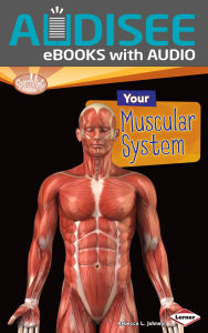 Title: Your Muscular System, Author: Rebecca L. Johnson