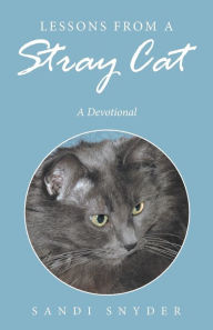 Title: Lessons from a Stray Cat: A Devotional, Author: Sandi Snyder