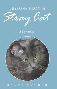 Title: Lessons from a Stray Cat: A Devotional, Author: Sandi Snyder