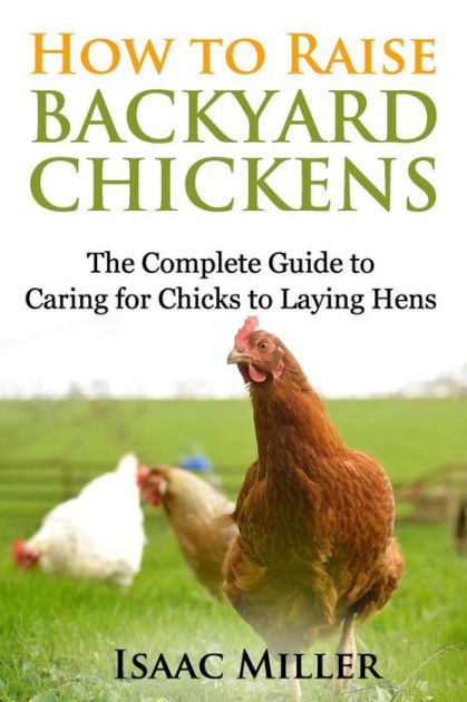 Ice Maker  BackYard Chickens - Learn How to Raise Chickens