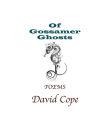 Of Gossamer Ghosts: Poetry