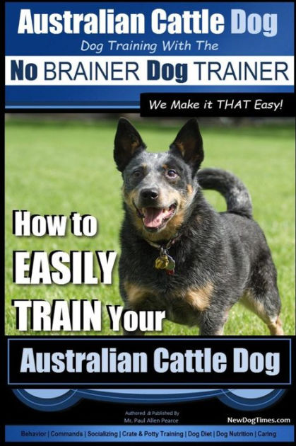 Potty training best sale blue heeler