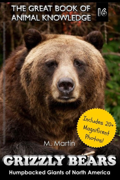 Grizzly Bears: Humpbacked Giants of North America (includes 20+