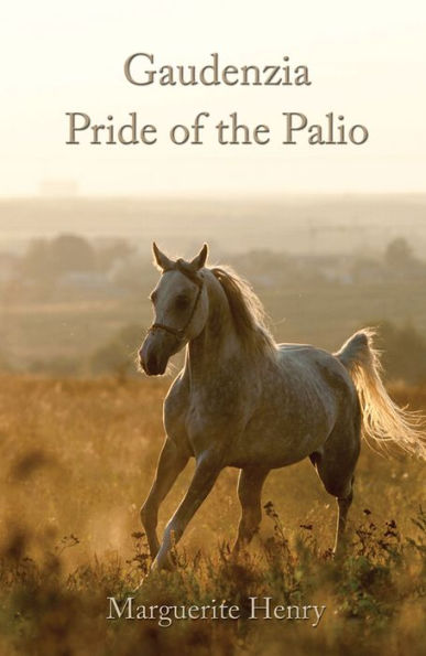 Gaudenzia: Pride of the Palio