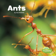 Title: Ants, Author: Lisa J. Amstutz