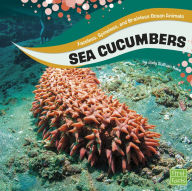 Title: Sea Cucumbers, Author: Jody S. Rake