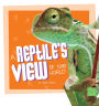 A Reptile's View of the World