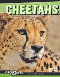 Title: Cheetahs, Author: Tammy Gagne