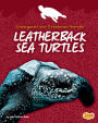 Leatherback Sea Turtles