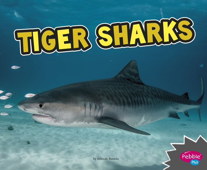 Show me a tiger shark image