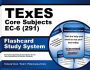 TExES Core Subjects EC-6 (291) Flashcard Study System