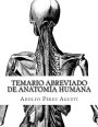 Temario Abreviado de Anatomï¿½a Humana