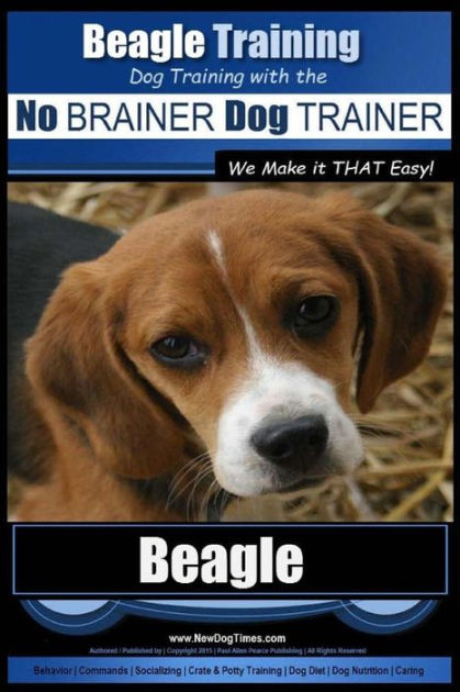 Beagle Training Dog Training with the No BRAINER Dog TRAINER We